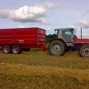 Massey Ferguson 3115