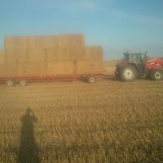 Massey Ferguson 6485 dyna 6