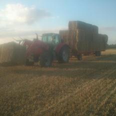Massey Ferguson 6485 dyna 6
