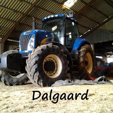 New Holland T8020