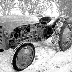 Ferguson 31
