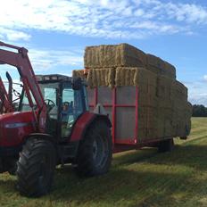 Massey Ferguson 6290