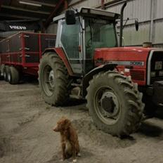 Massey Ferguson 3095