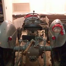 Ferguson 31