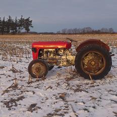 Massey Ferguson 35 benzin