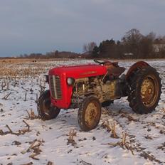 Massey Ferguson 35 benzin