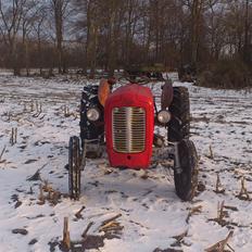 Massey Ferguson 35 benzin