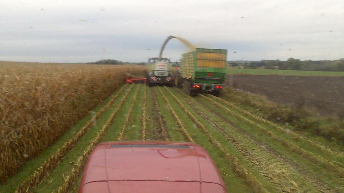 Case IH Mx 285 billede 3