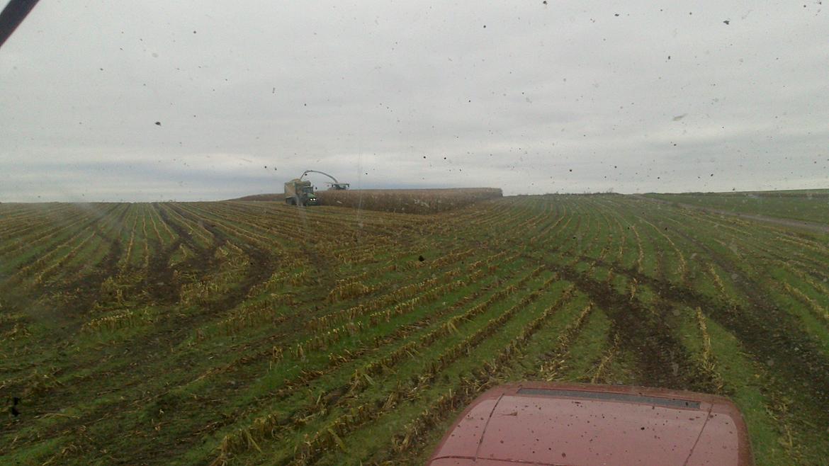 Case IH Mx 285 billede 12