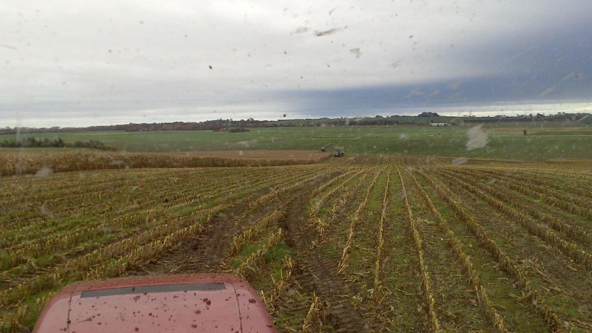 Case IH Mx 285 billede 7