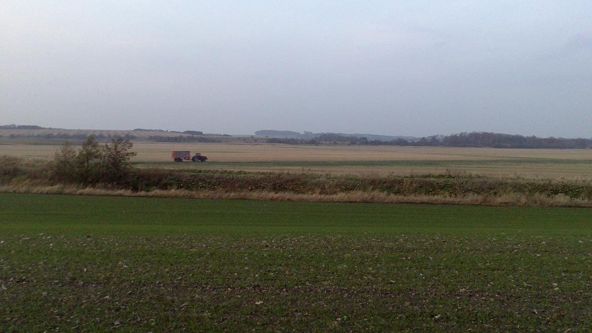 Case IH Mx 285 billede 8