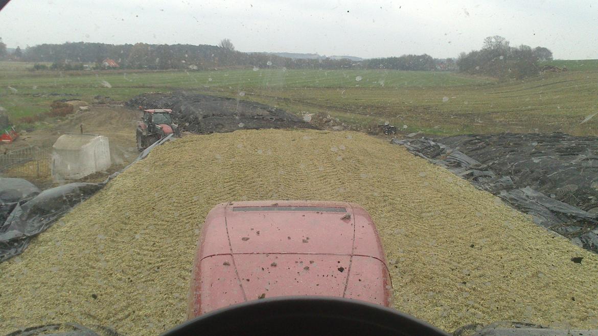 Case IH Mx 285 billede 9