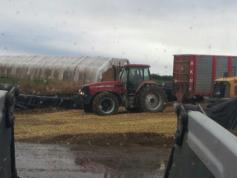 Case IH Mx 285 billede 5