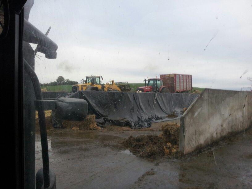 Case IH Mx 285 billede 10