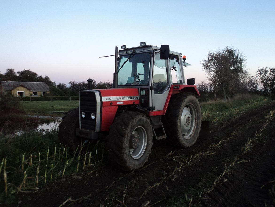 Massey Ferguson 690 billede 3