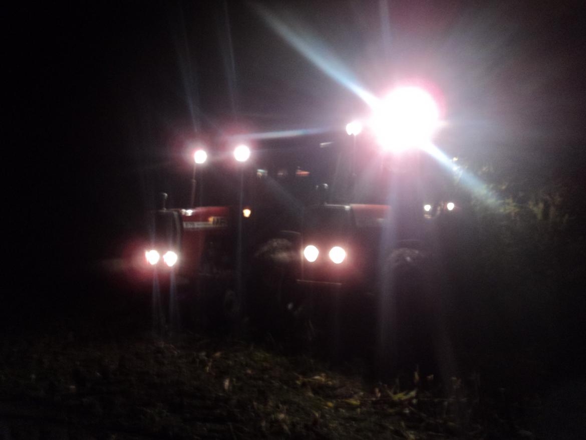 Massey Ferguson 690 billede 5