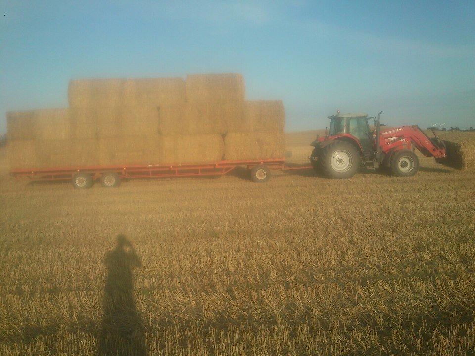 Massey Ferguson 6485 dyna 6 billede 1