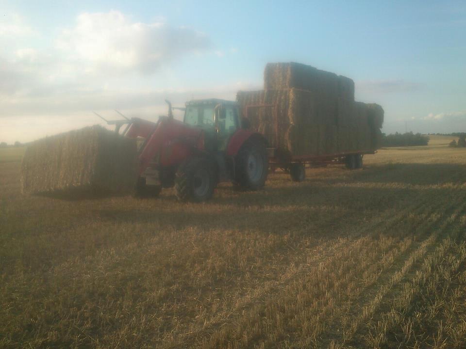 Massey Ferguson 6485 dyna 6 billede 3