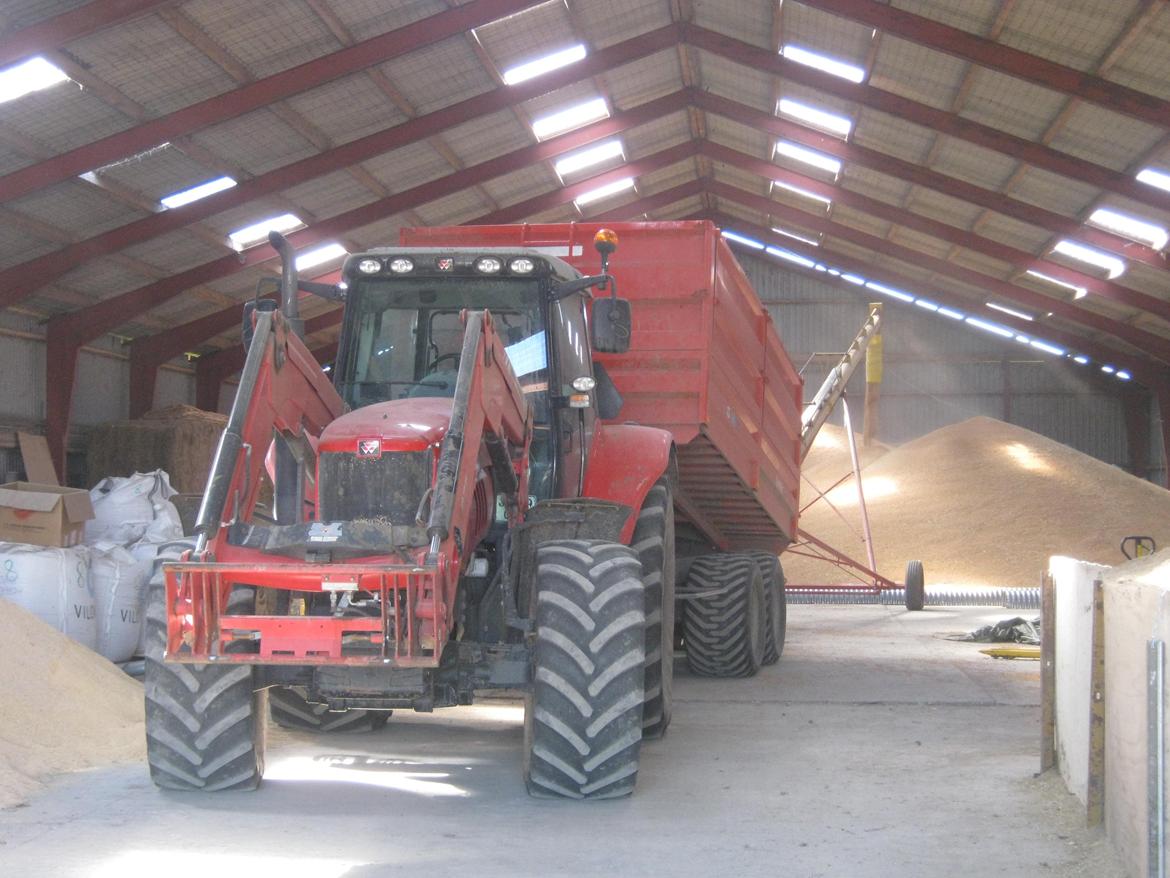 Massey Ferguson 6485 dyna 6 billede 5