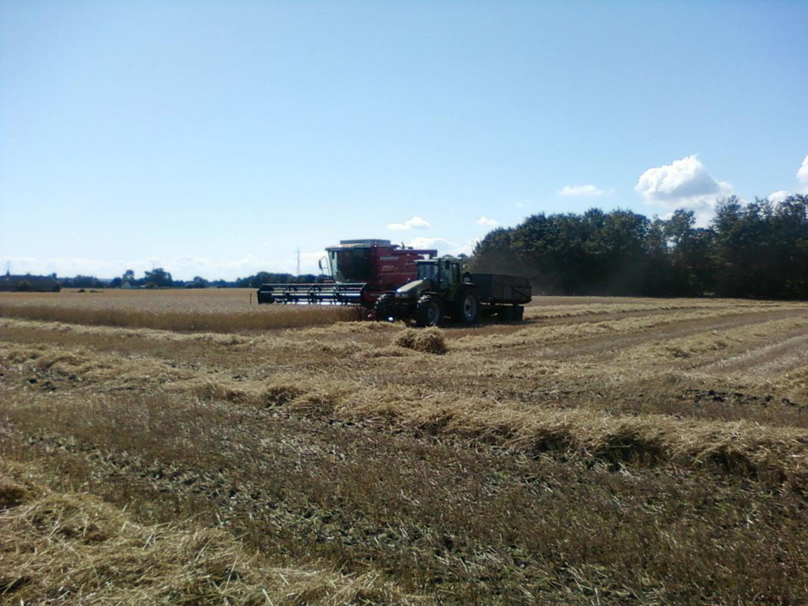 Hürlimann XT-913 billede 15