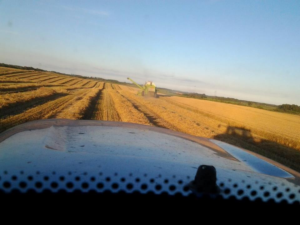 New Holland T8020 billede 17