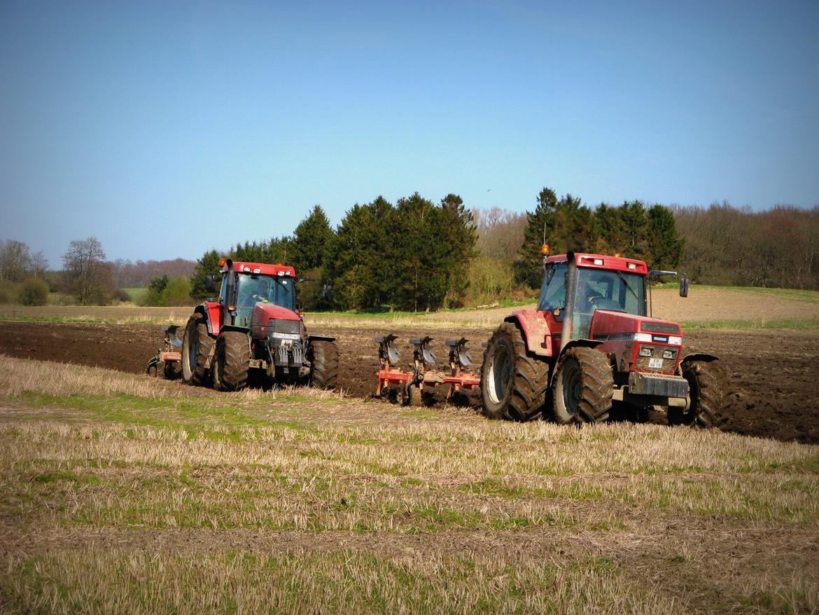 Case IH mx 135 billede 12