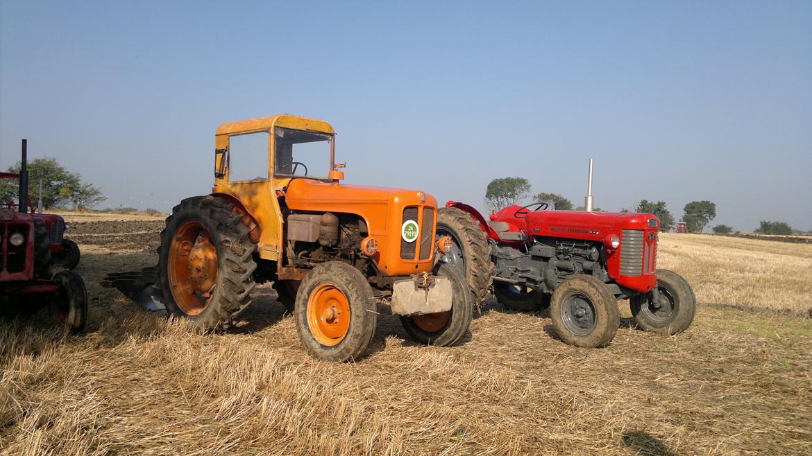 Fiat 513 R - Veterantraktor stævne.
Massey Ferguson 65 ved siden af.  billede 8