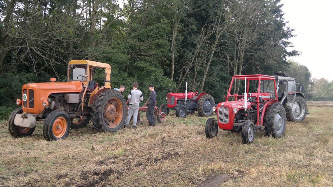 Fiat 513 R - Veterantraktor stævne trænings lejer.  billede 11