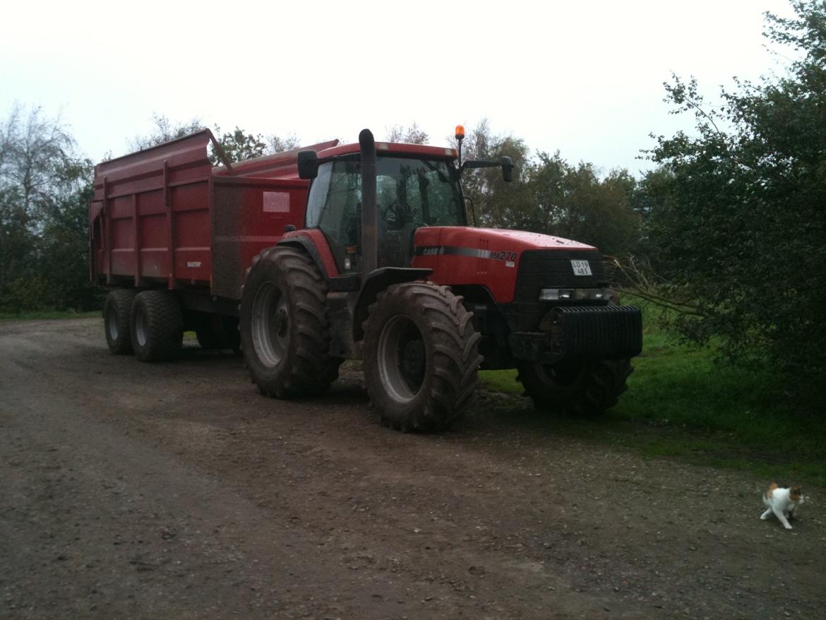 Case IH MX270 billede 19