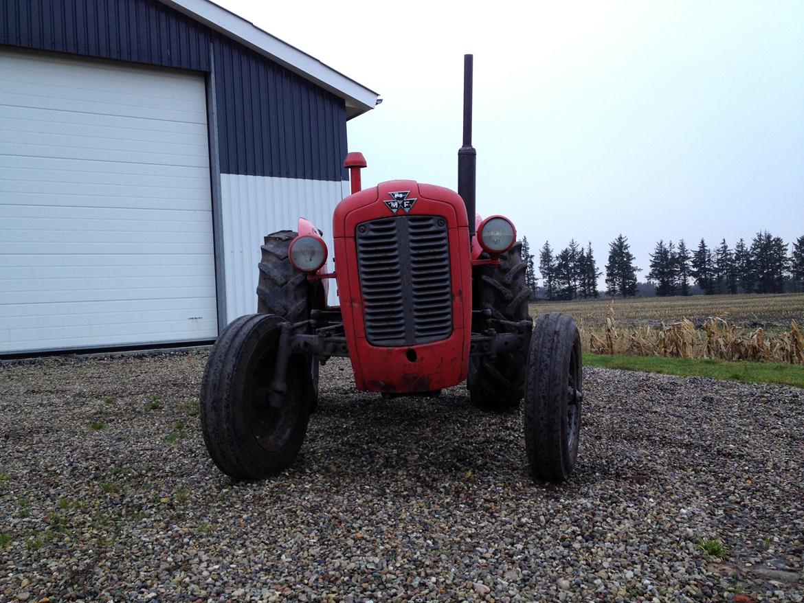 Massey Ferguson 35X billede 2