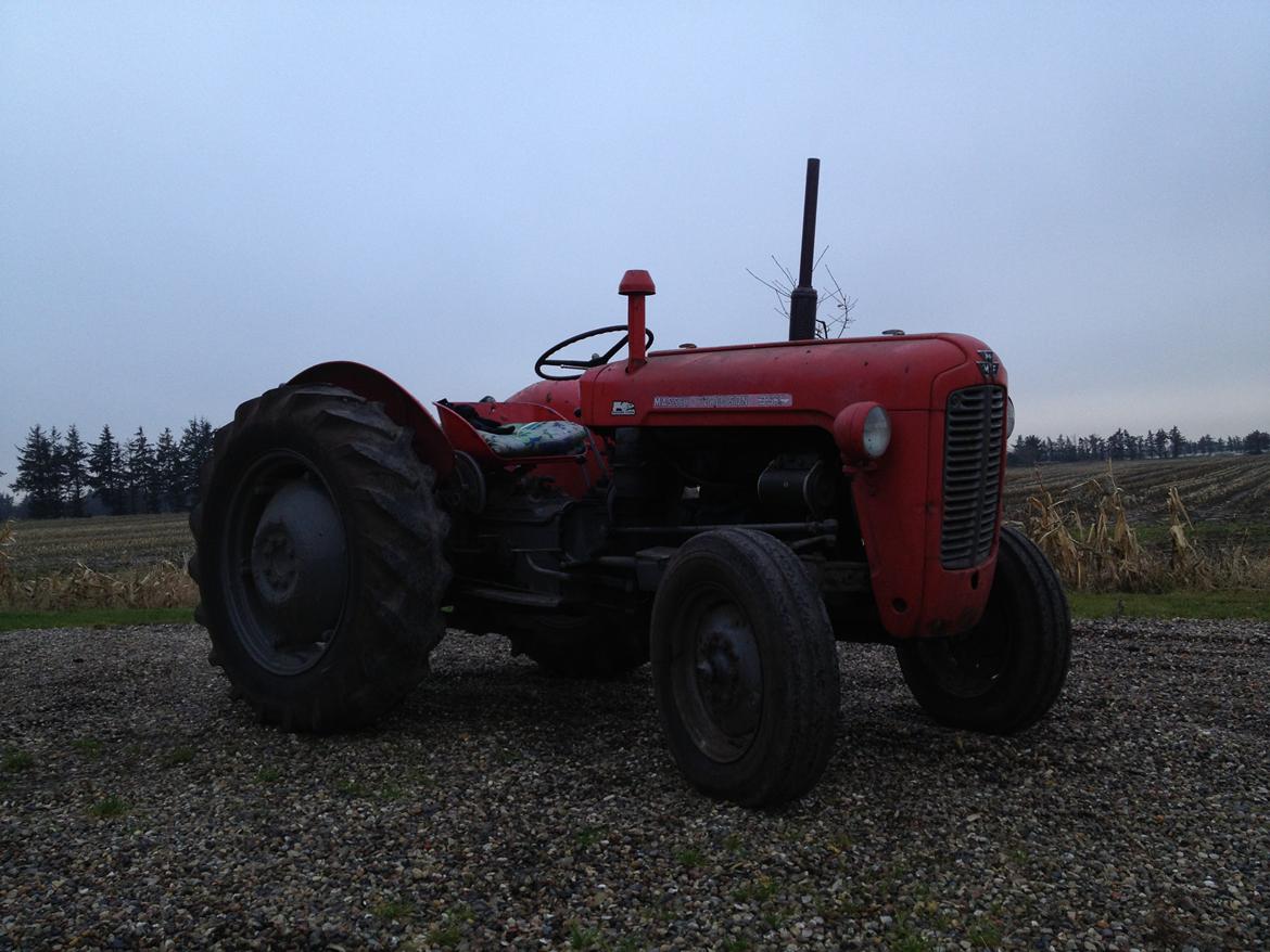 Massey Ferguson 35X billede 5