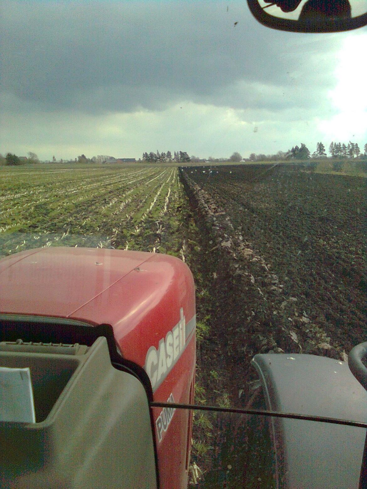 Case IH Puma 230 CVX billede 11