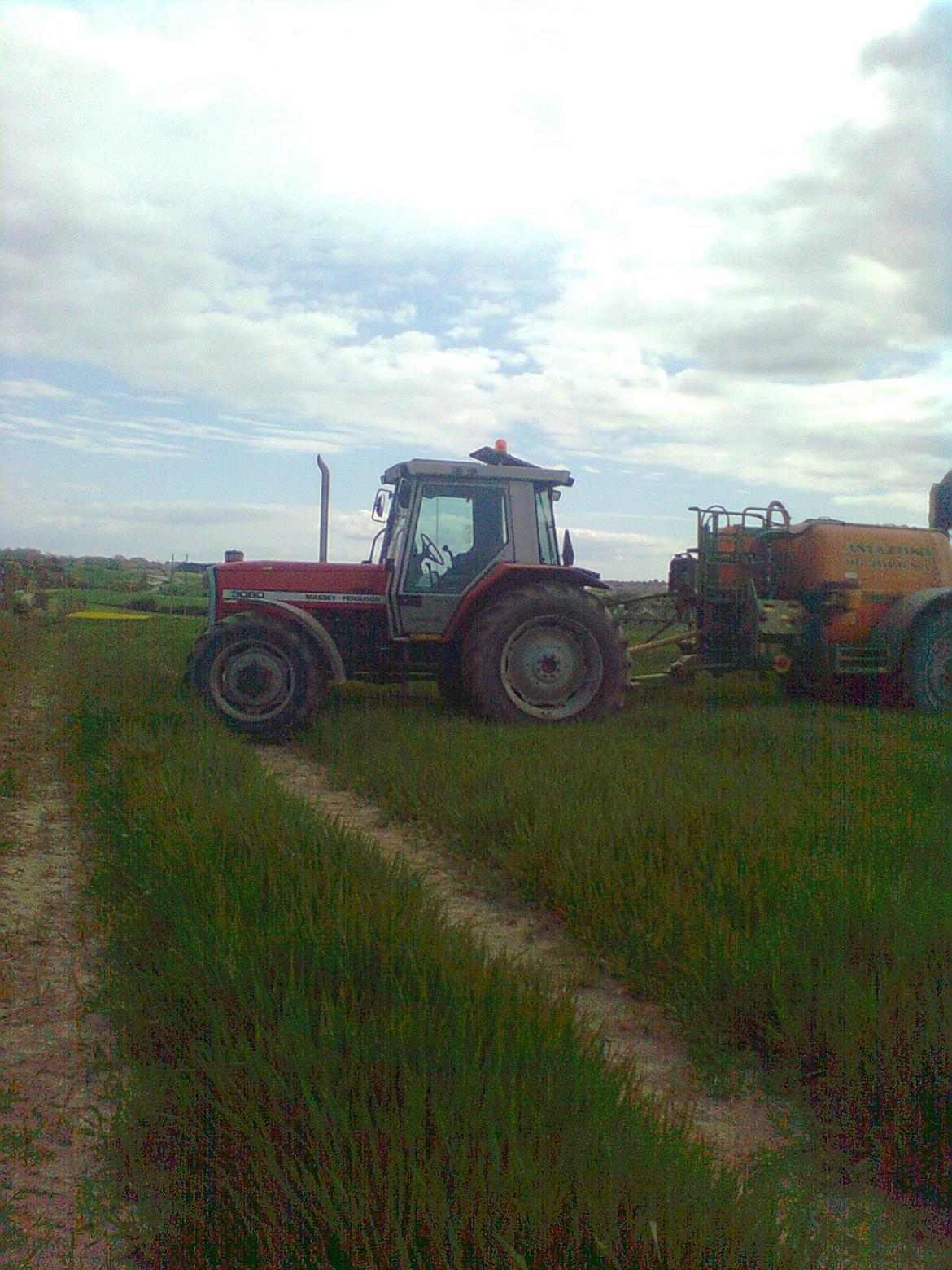 Massey Ferguson 3080 billede 4