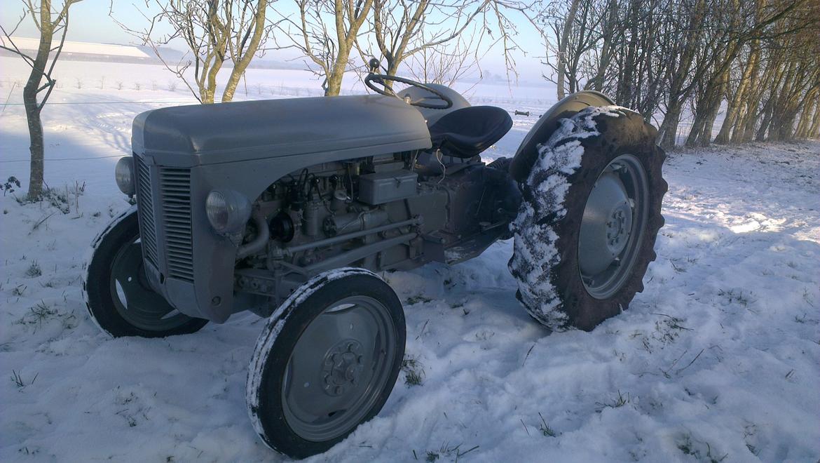 Ferguson 31 - Originalen... billede 9