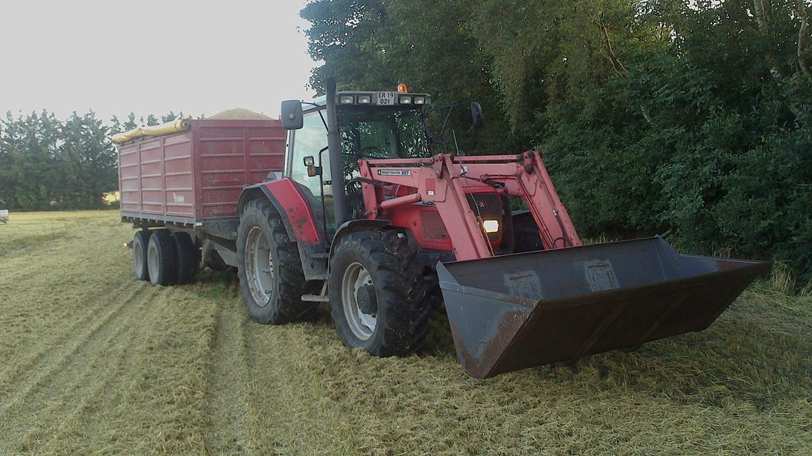 Massey Ferguson 6290 - Var lige ude og køre fra i vårbyg med 16 tons BS vogn.... billede 1