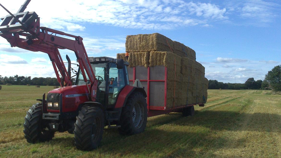 Massey Ferguson 6290 - Et af de mange læs med halm. billede 2