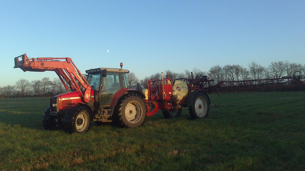 Massey Ferguson 6290 billede 3