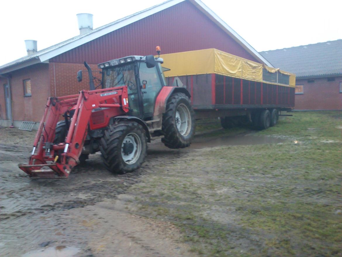 Massey Ferguson 6290 - Flytning af 30 kg. grise. billede 4