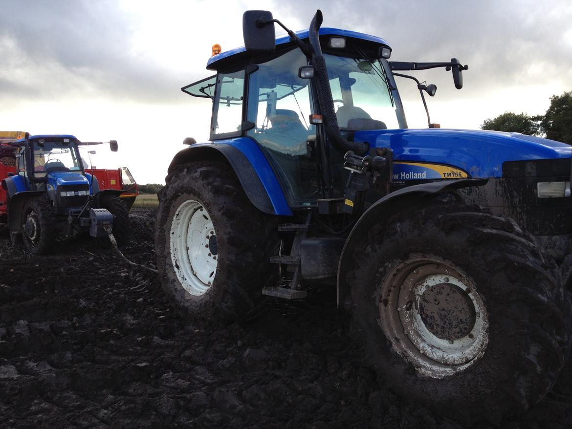 New Holland TM 155 - de to tm'er kæmper hårdt for at få så mange kartofler op som muligt. billede 17