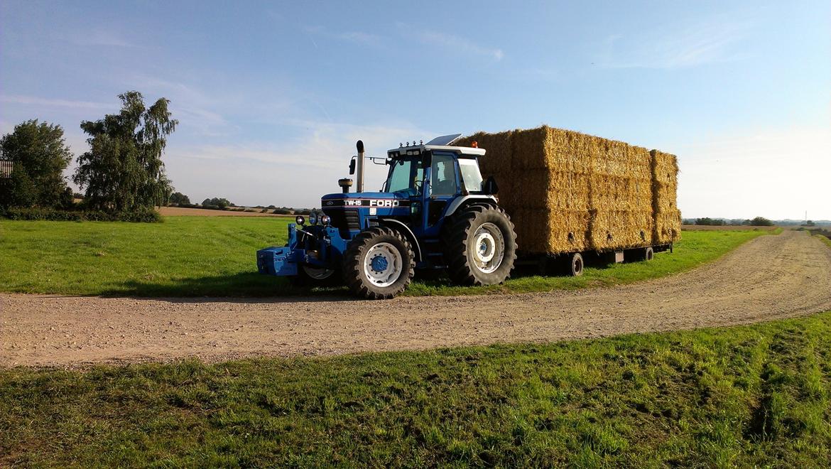 Ford TW 15 Force II - Fik lige lov og køre et læs halm i høsten billede 14