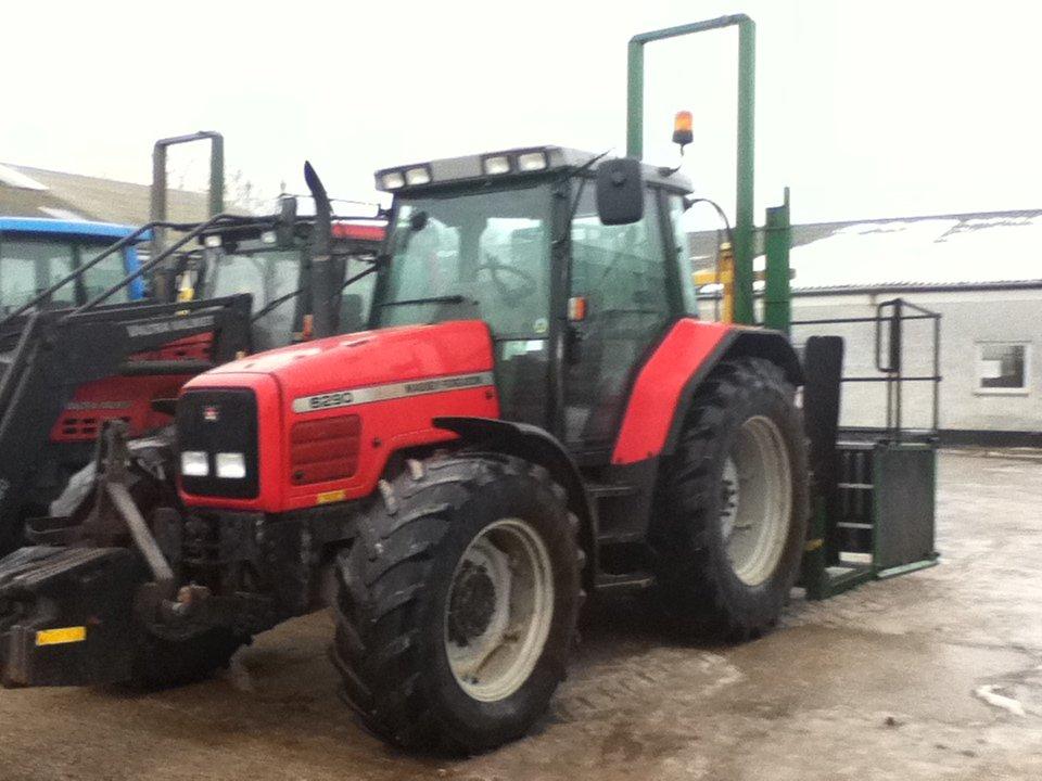 Massey Ferguson 6290 billede 12