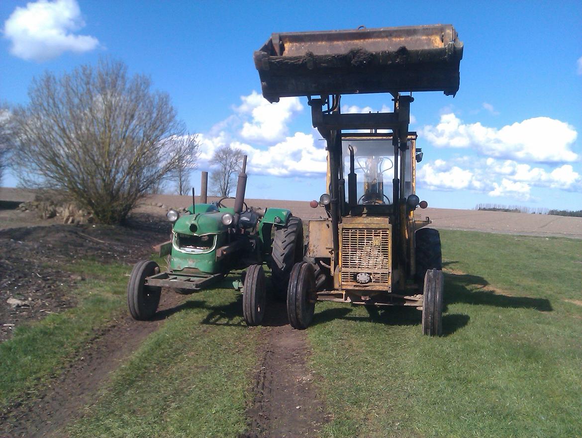 International Harvester 3434 - og de ældst i flokken  billede 5