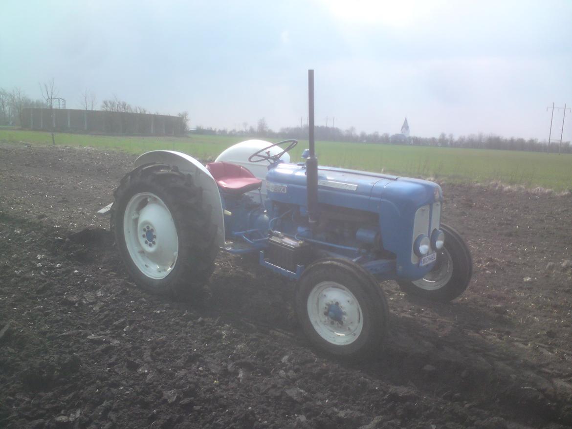 Fordson Dexta billede 8