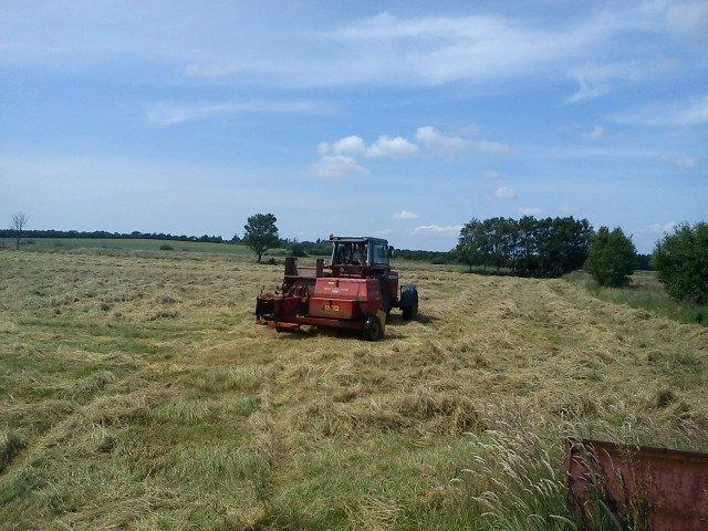Massey Ferguson 575 - Da vi pressede hø i sommers billede 6