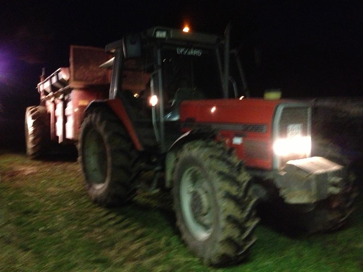 Massey Ferguson 3095 - så det ved at blive aften billede 3