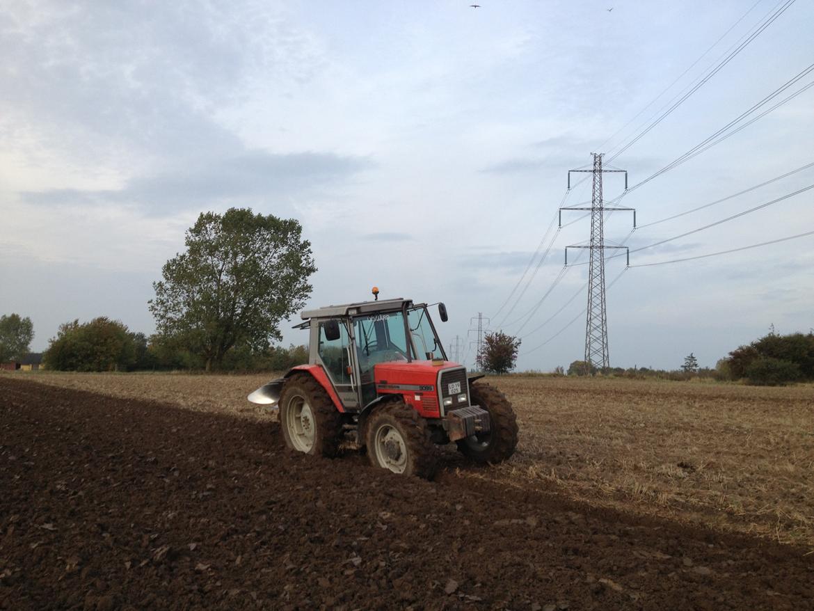 Massey Ferguson 3095 - Ploven i jorden og afsted det gik billede 6