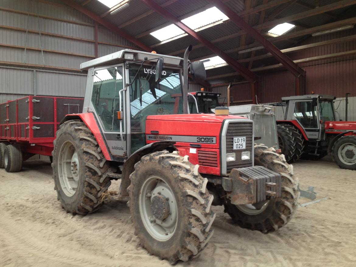 Massey Ferguson 3095 billede 8