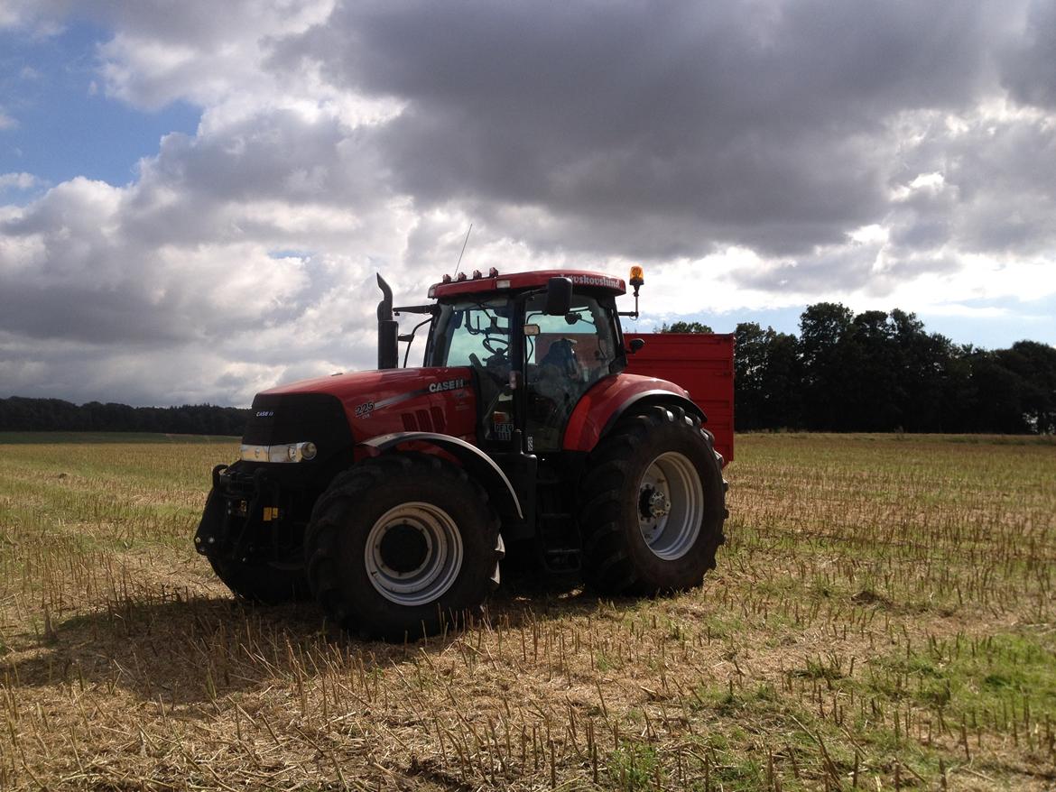 Case IH Puma 225 CVX billede 13