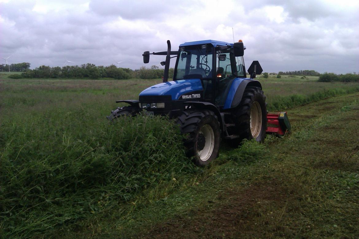 New Holland TM 165 billede 2