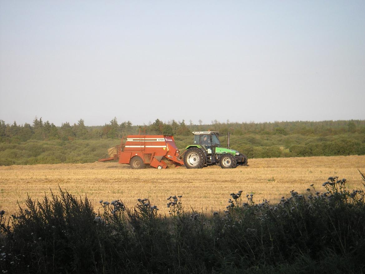 Deutz-Fahr AgroStar 6.08 - dengang da vi lige havde fået presserern kørte 6.08'eren for den i høst, det gør den ikke mere, da den altid står for kornvognen i høst, det er mig der kører billede 12